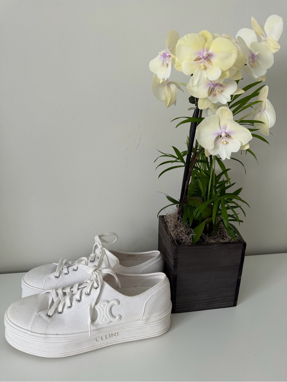 Authentic Celine Triomphe Platform Sneakers in white canvas